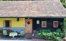 Die Steirakeischn